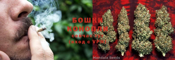 шишки Алексеевка